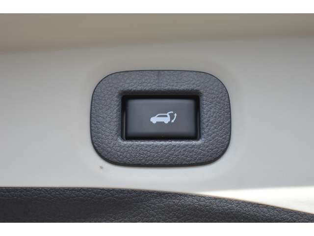 Nissan X-TRAIL 2019-03 12038-13