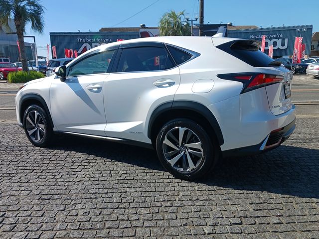 Lexus NX 2018-05 17113-3