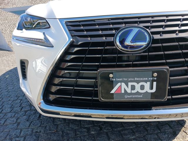 Lexus NX 2018-05 17113-5