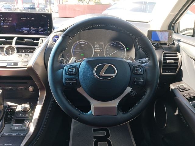 Lexus NX 2018-05 17113-12