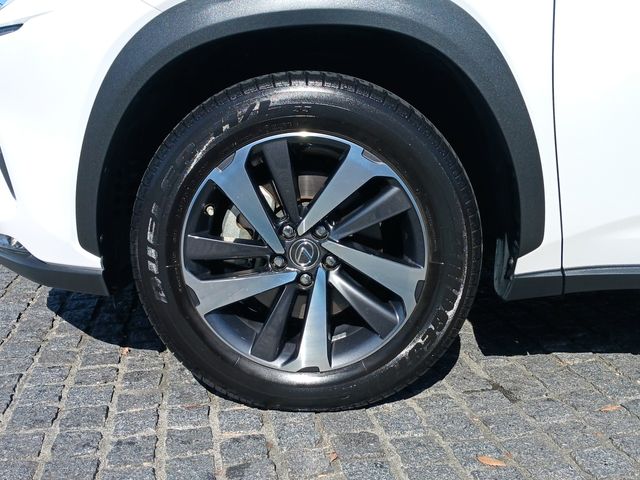Lexus NX 2018-05 17113-7