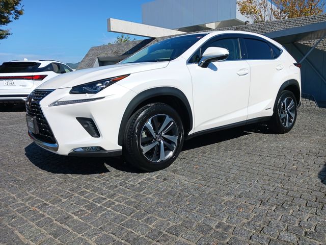 Lexus NX 2018-05 17113-1