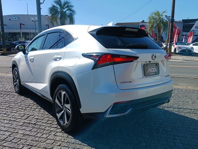 Lexus NX 2018-05 17113-2