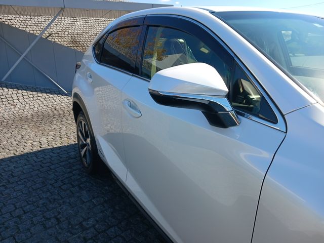 Lexus NX 2018-05 17113-4
