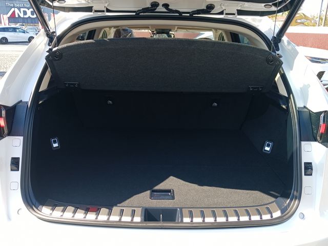 Lexus NX 2018-05 17113-27