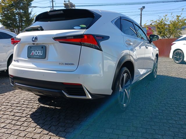Lexus NX 2018-05 17113-6