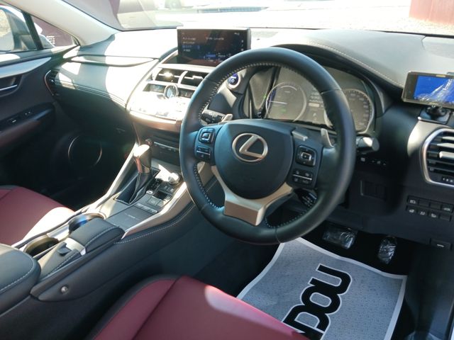 Lexus NX 2018-05 17113-10