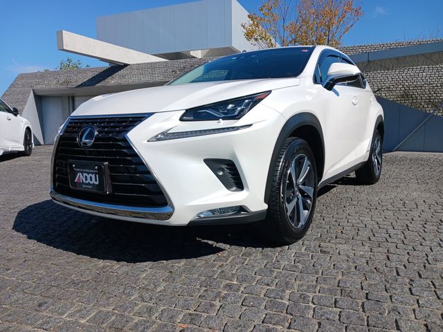 Lexus NX 2018-05 17113-0