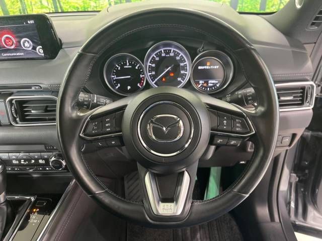 Mazda CX-8 2018-10 10459-11