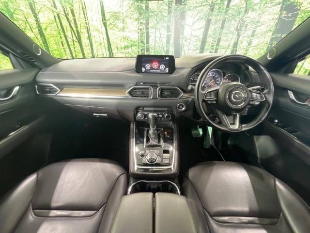 Mazda CX-8 2018-10 10459-1
