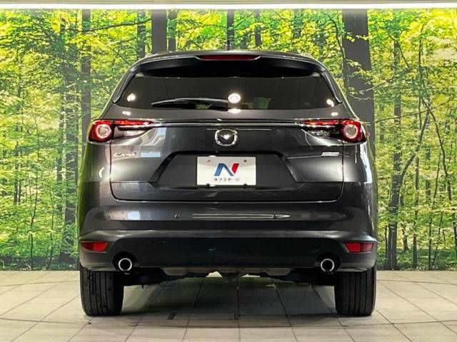 Mazda CX-8 2018-10 10459-15