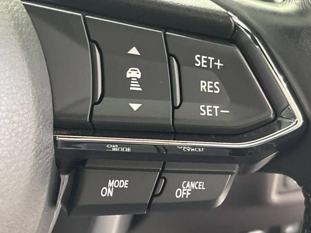 Mazda CX-8 2018-10 10459-4