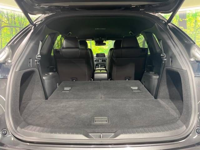 Mazda CX-8 2018-10 10459-10