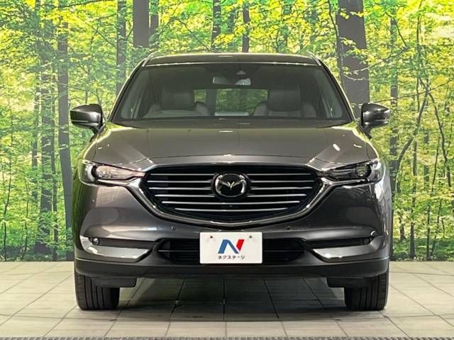 Mazda CX-8 2018-10 10459-14