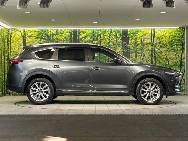 Mazda CX-8 2018-10 10459-17