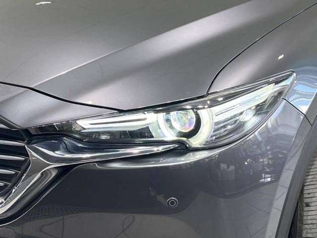Mazda CX-8 2018-10 10459-12