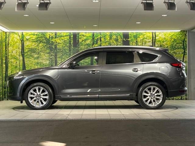 Mazda CX-8 2018-10 10459-16