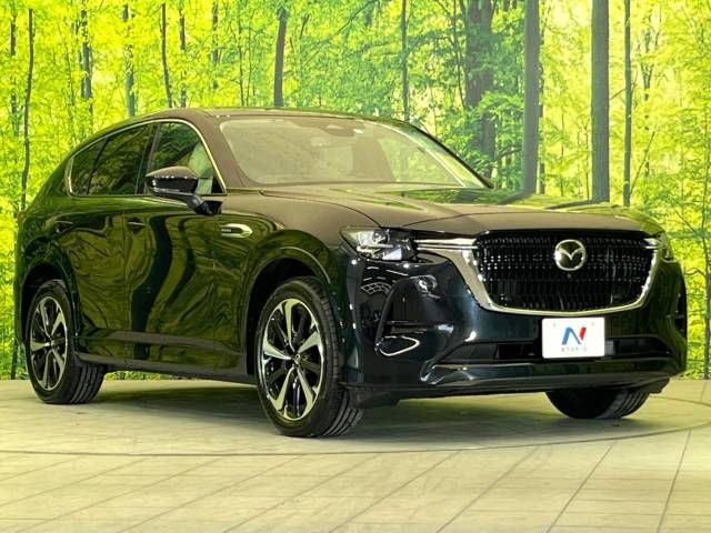 Mazda CX-60 2022-01 183399-16