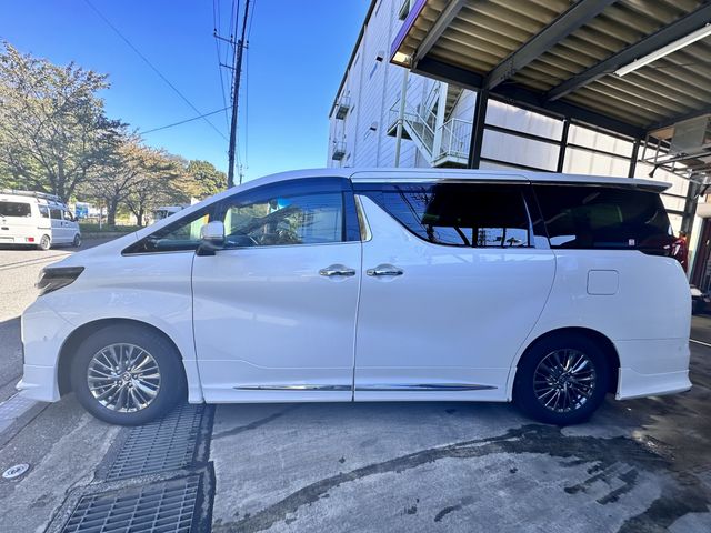 Toyota ALPHARD 2021-01 18956-7