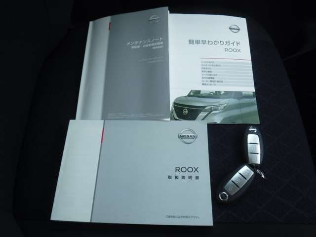 Nissan ROOX 2020-11 2202-18