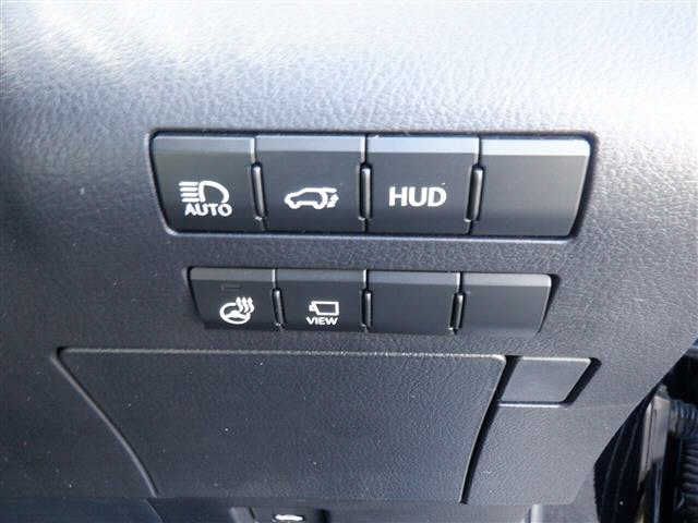 Lexus RX 2019-06 7619-7
