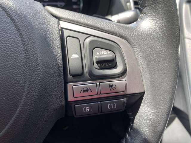 Subaru FORESTER 2017-04 194321-8