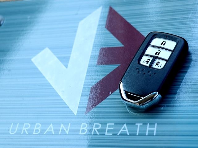 Honda FREED 2020-05 11746-25