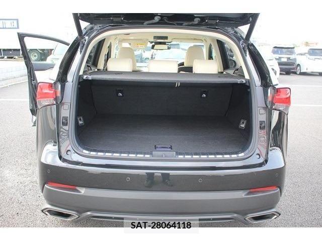 Lexus NX 2018-03 388282-17