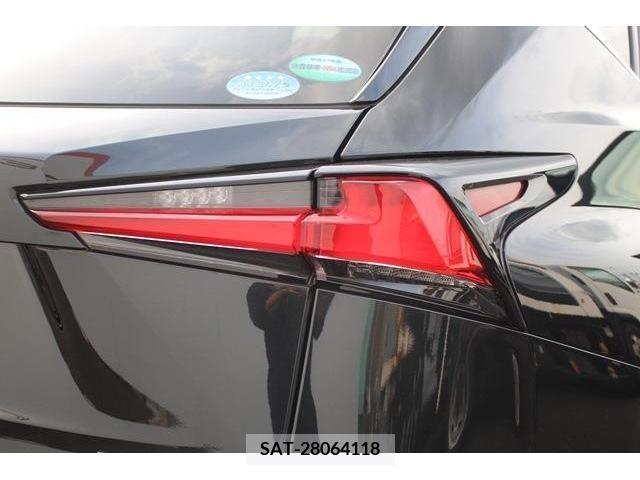 Lexus NX 2018-03 388282-12