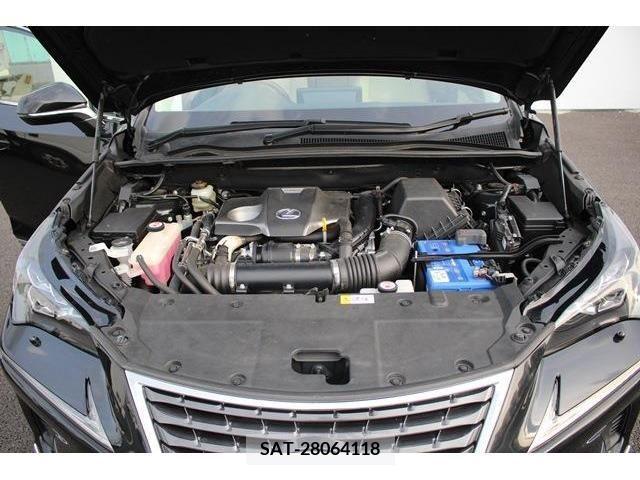 Lexus NX 2018-03 388282-18