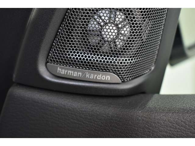 Bmw X5 2014-12 13205-16