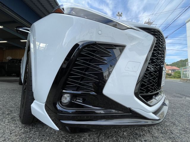 Lexus NX 2023-06 14163-4