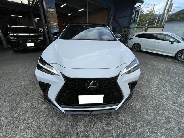 Lexus NX 2023-06 14163-1