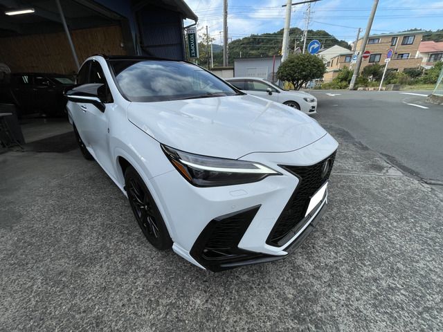 Lexus NX 2023-06 14163-2