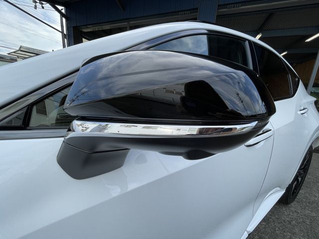 Lexus NX 2023-06 14163-16
