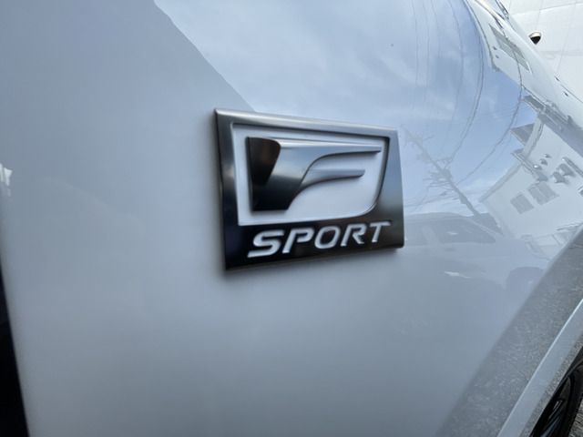 Lexus NX 2023-06 14163-11