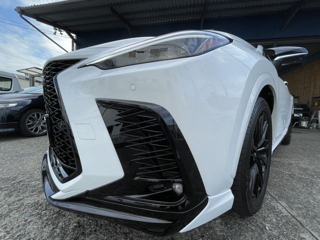 Lexus NX 2023-06 14163-6