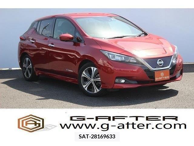 Nissan LEAF 2018-01 245848-0