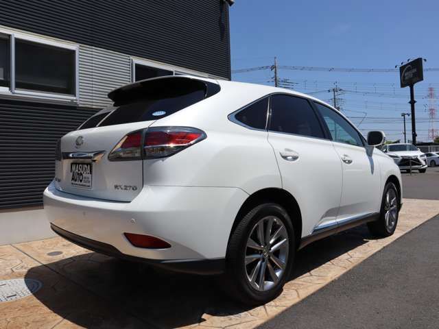 Lexus RX 2014-01 4628-6
