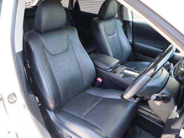 Lexus RX 2014-01 4628-8