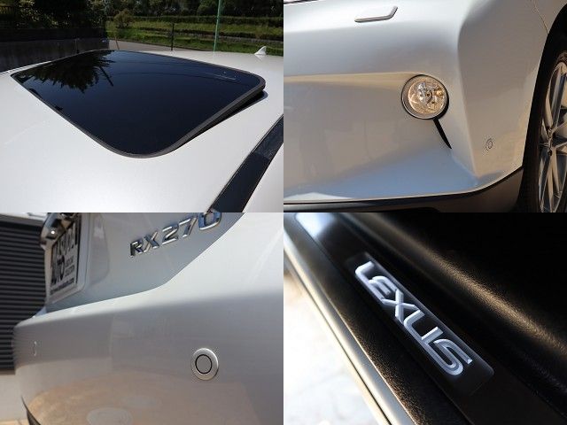 Lexus RX 2014-01 4628-24