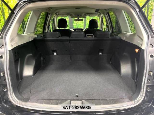 Subaru FORESTER 2017-01 390943-10