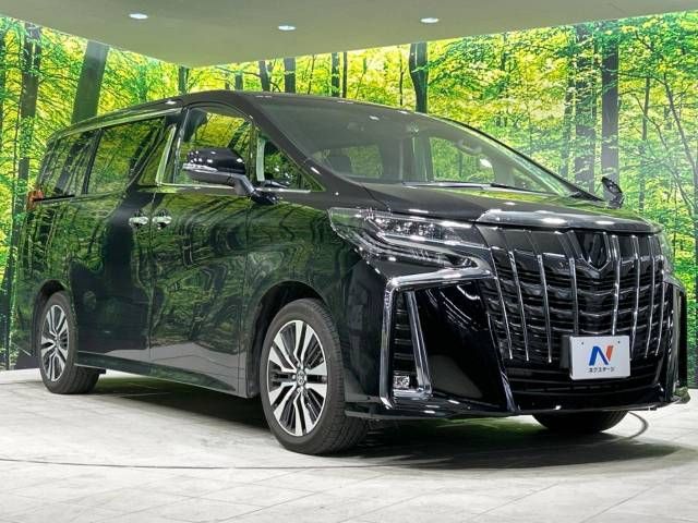 Toyota ALPHARD 2022-11 10994-16