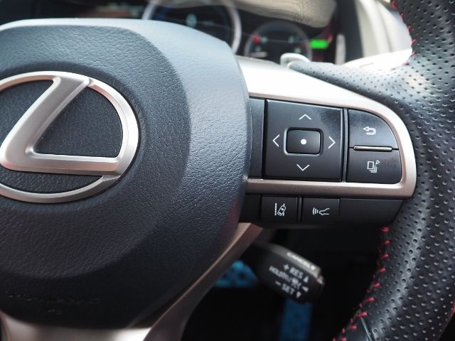 Lexus RX 2021-07 7487-18