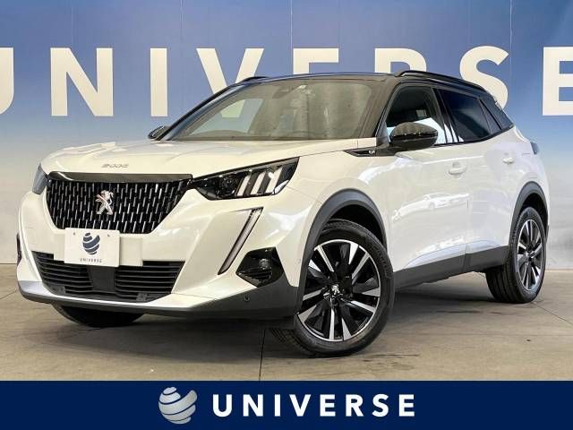 Peugeot 2008 2021-06 27379-0