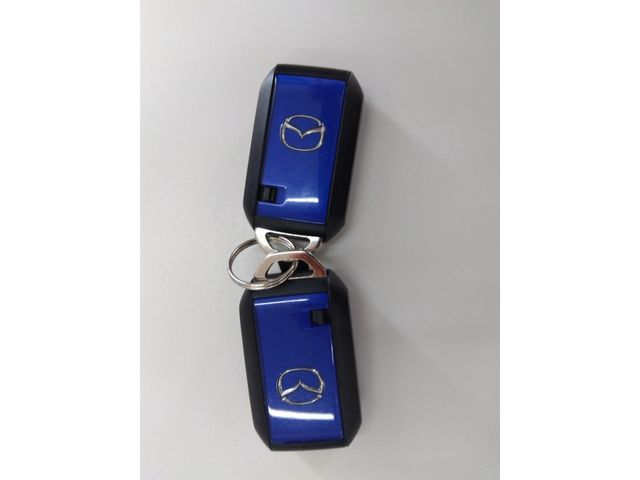 Mazda FLAIR CROSSOVER 2020-08 15076-12