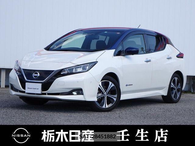 Nissan LEAF 2018-01 230455-0