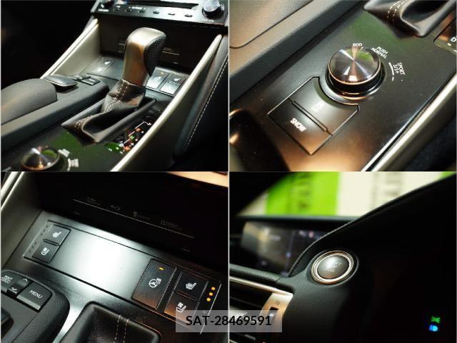 Lexus IS 2014-03 253297-6