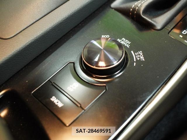 Lexus IS 2014-03 253297-13