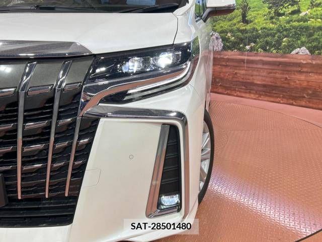 Toyota ALPHARD 2018-08 216804-13